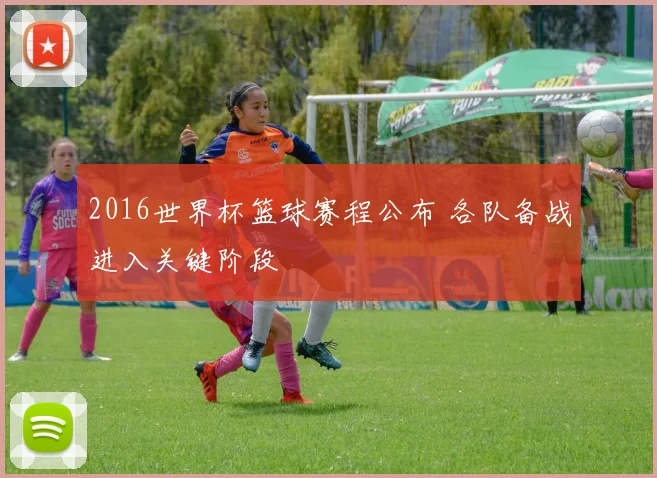 2016世界杯篮球赛程公布 各队备战进入关键阶段